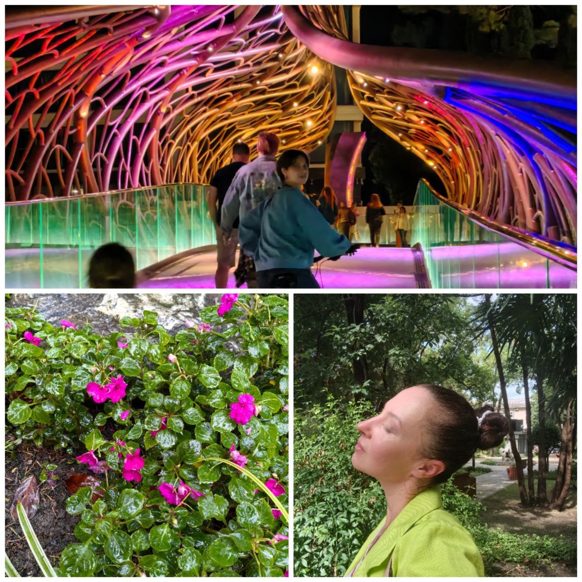 просто фото Центрального Сочи. Красота же!))