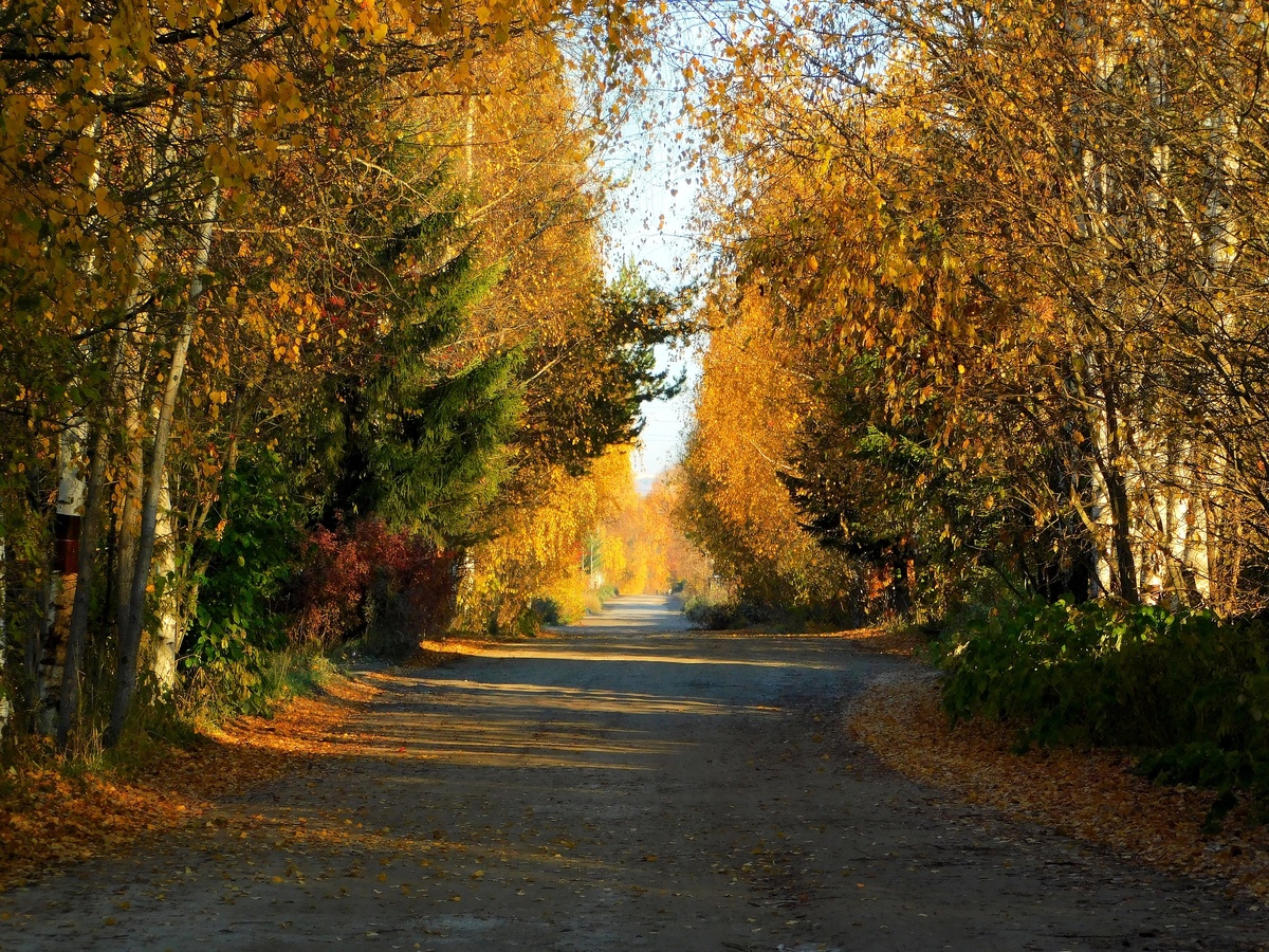    7 городов, куда россияне уезжают после выхода на пенсию: природа, комфорт и низкие цены — не жизнь, а сказка