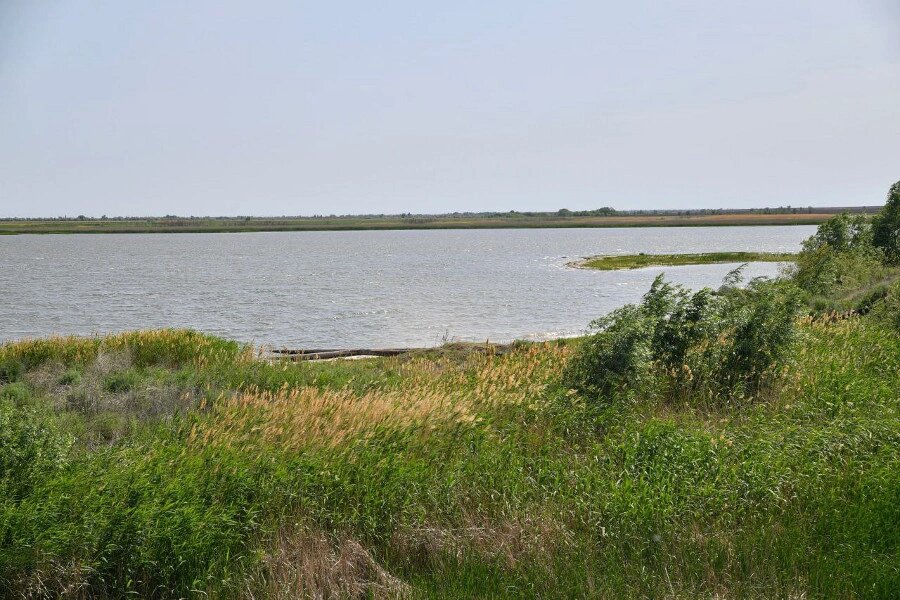    Фото: Роман Бусаргин