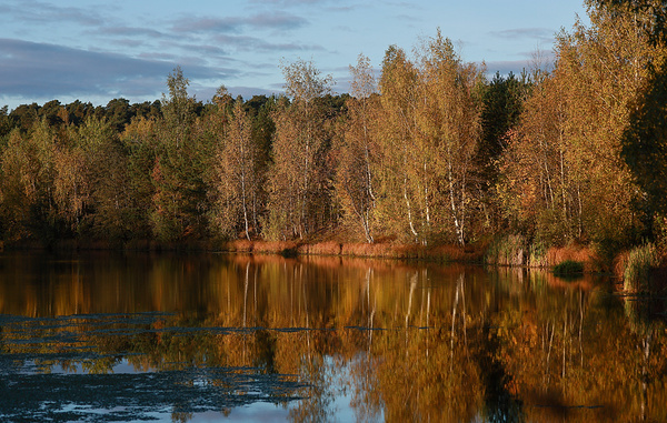 Владимир Смирнов/ТАСС