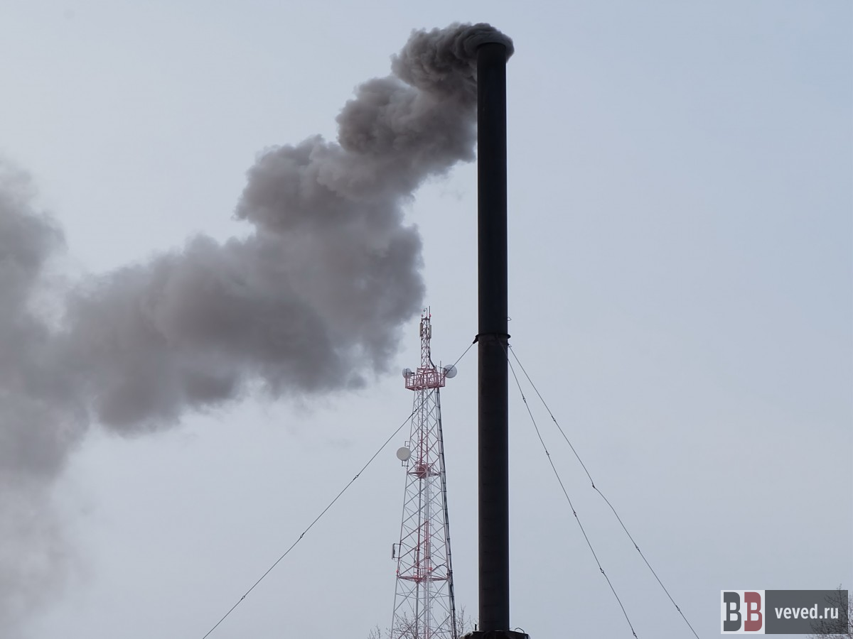     Фото: Владислав Постников / Вечерние ведомости