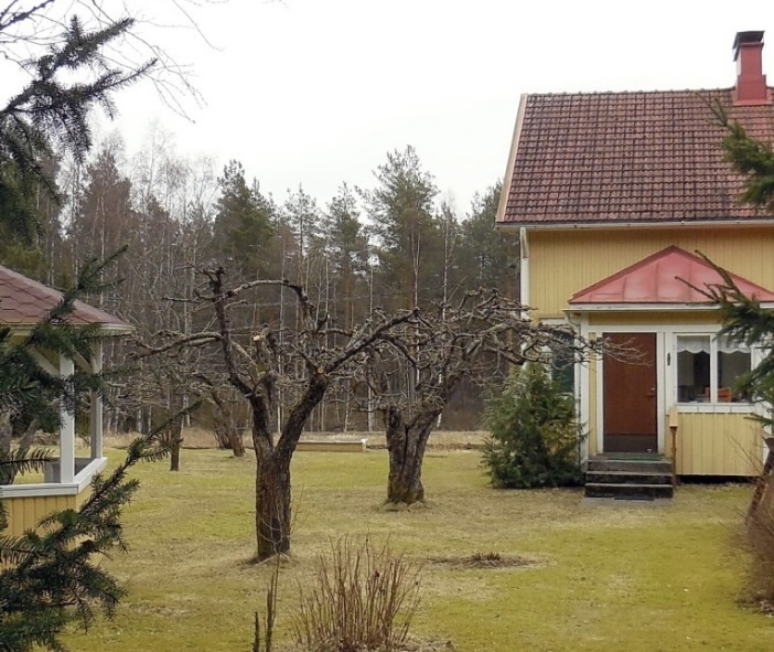 Яндекс-картинки