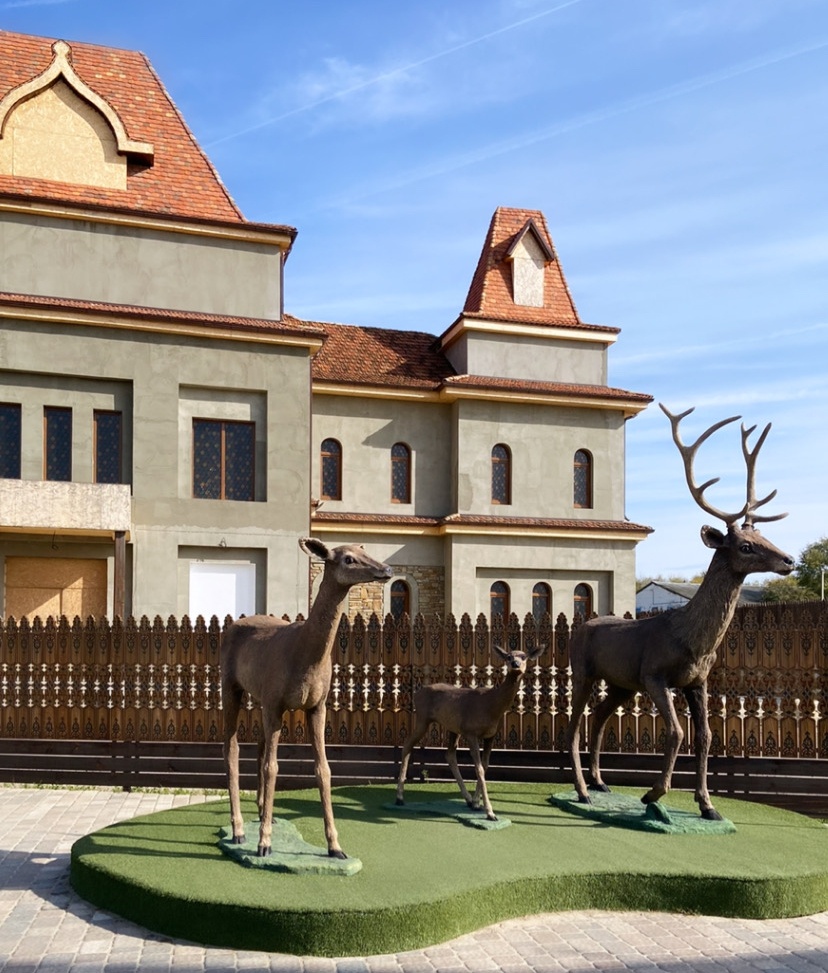    Фото: "Веселовские вести" Веселовские вести