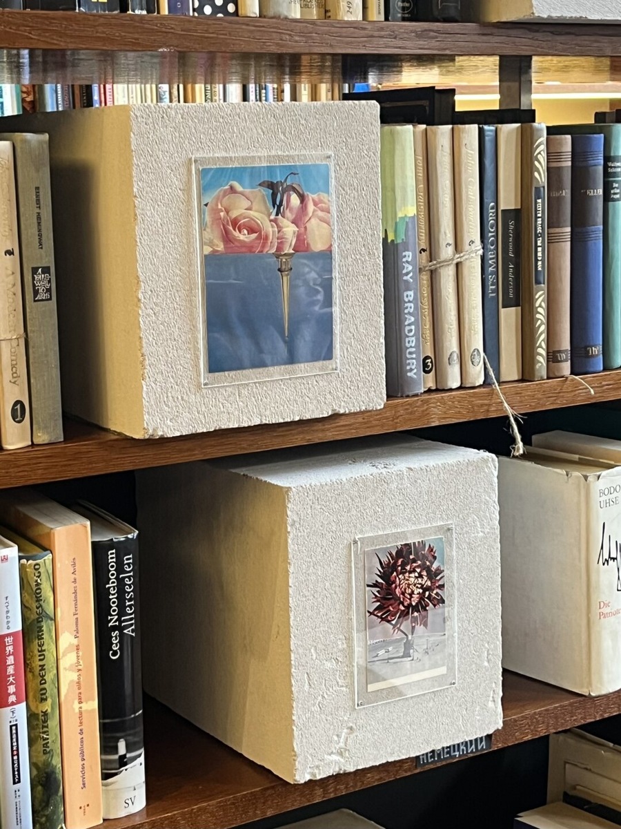    Фото: Изображение предоставлено «Собака.ru» пресс-службой Подписных изданий