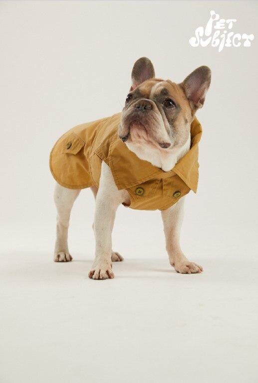    дизайнерская одежда для собак где купить 2025