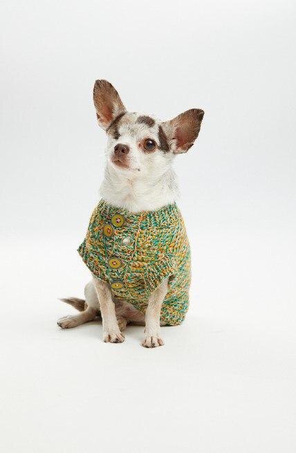    Roma Uvarov Design & Pet Subject