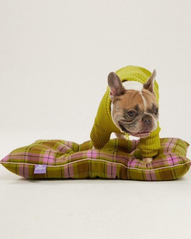    Roma Uvarov Design & Pet Subject