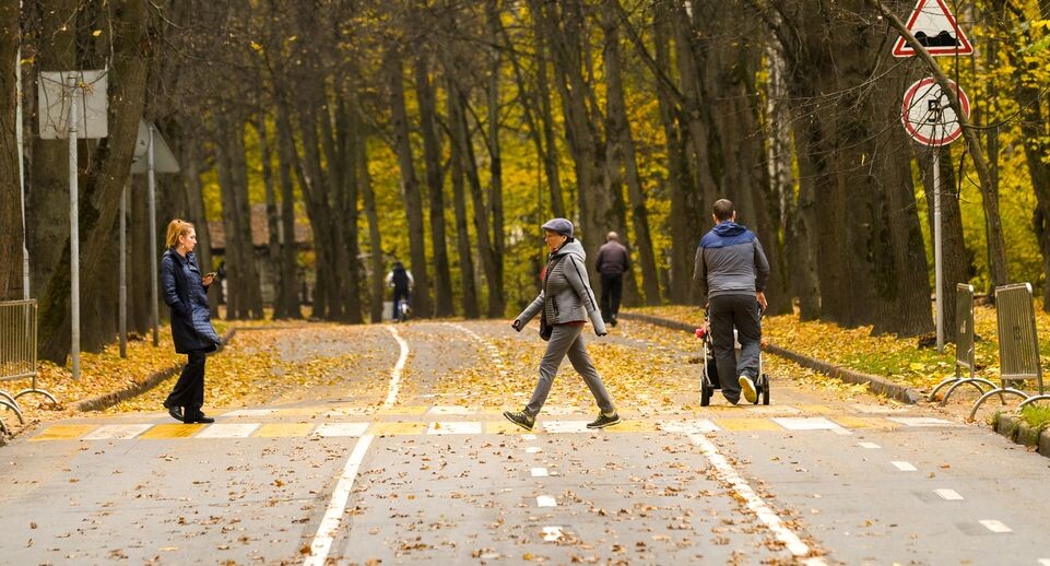    Медиасток.рф