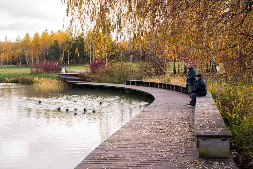    Медиасток.рф