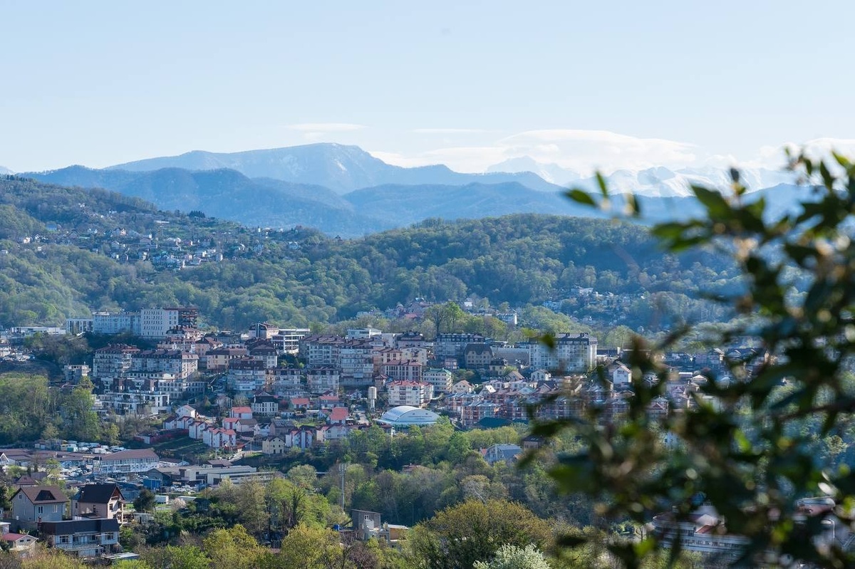 Фото: пресс-служба администрации города Сочи  📷
