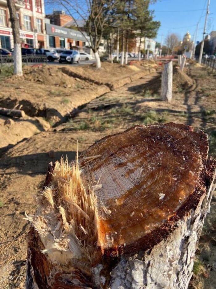 Иллюстрация: Телеграмм-канал Юрия Слюсаря