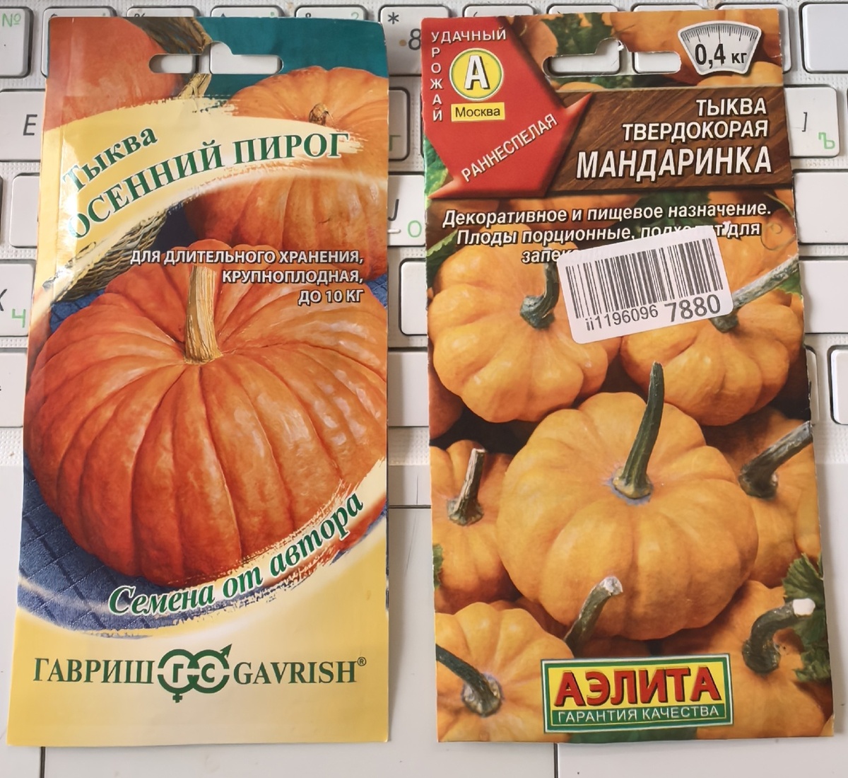 Задел на следующий сезон