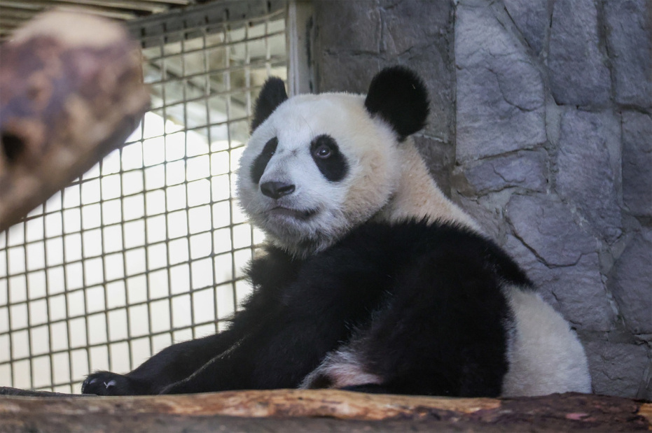    Алексей Белкин/NEWS.ru