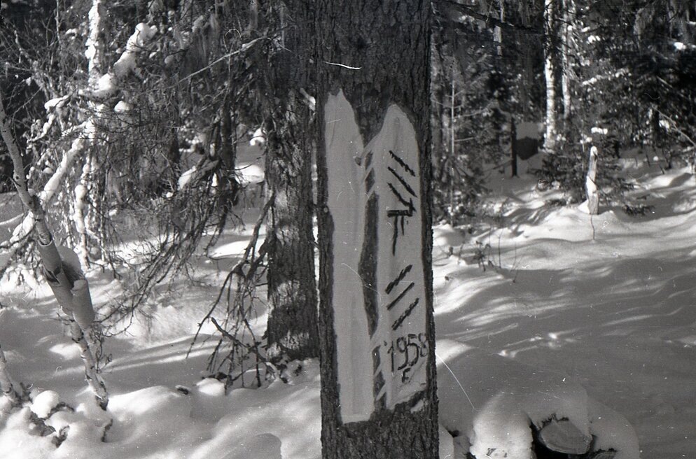 источник: Тайны перевала Дятлова: версия "Мансийский след"//Таинственный Урал