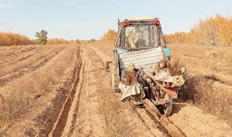   Фото: Комитет сельского хозяйства Волгоградской области