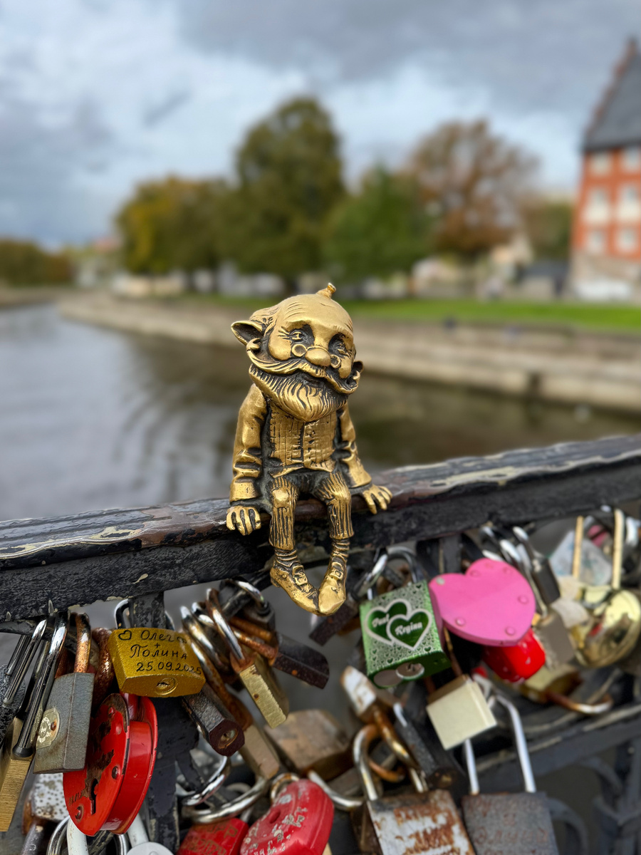 Дедушка Карл.