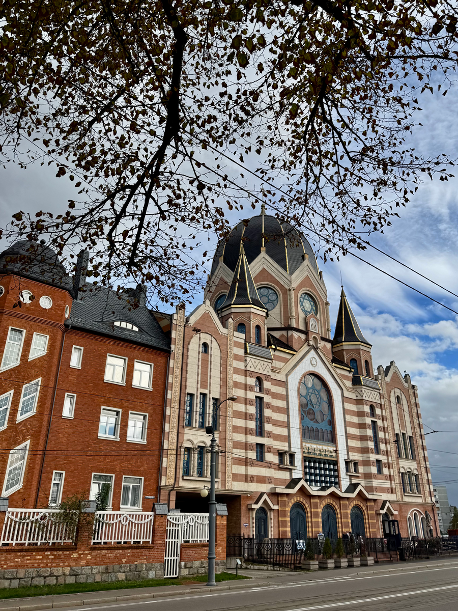 Новая Синагога и здание сиротского еврейского приюта.