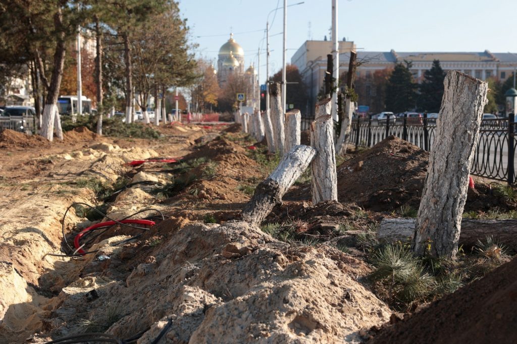    Фото: правительство РО. Газета "Земля"