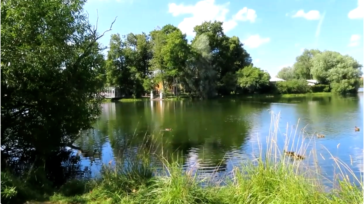 тишина, шелест листвы и отражения в воде – просто завораживающе!