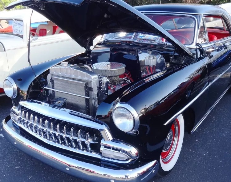 Фото Mark Gittelman