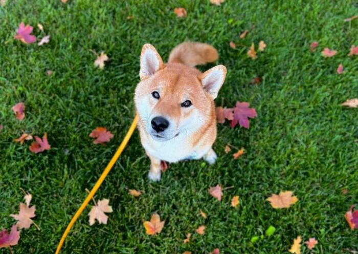 Обложка © Life.ru