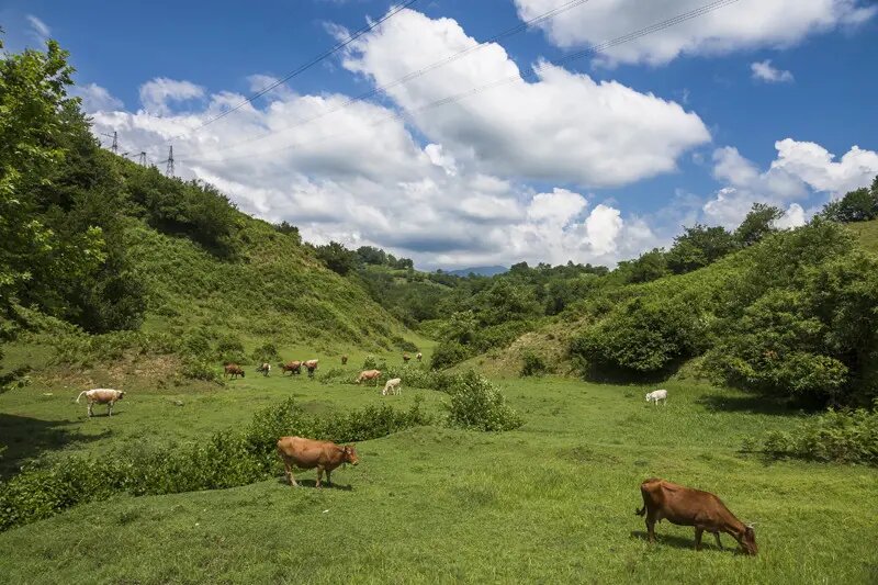 Путешествие по Грузии. Обратно в Тбилиси. Сталин, Оджалеши и древний город Уплисцихе