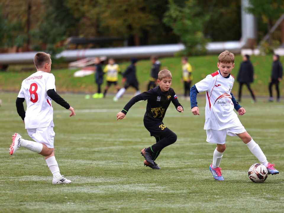    Фото: REGIONS/Ольга Пятикрестовская