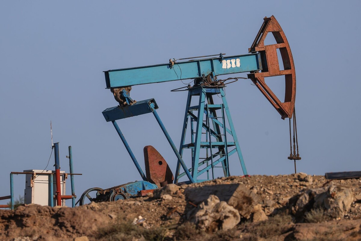     / Источник: © Bulkin Sergey/Global Look Press