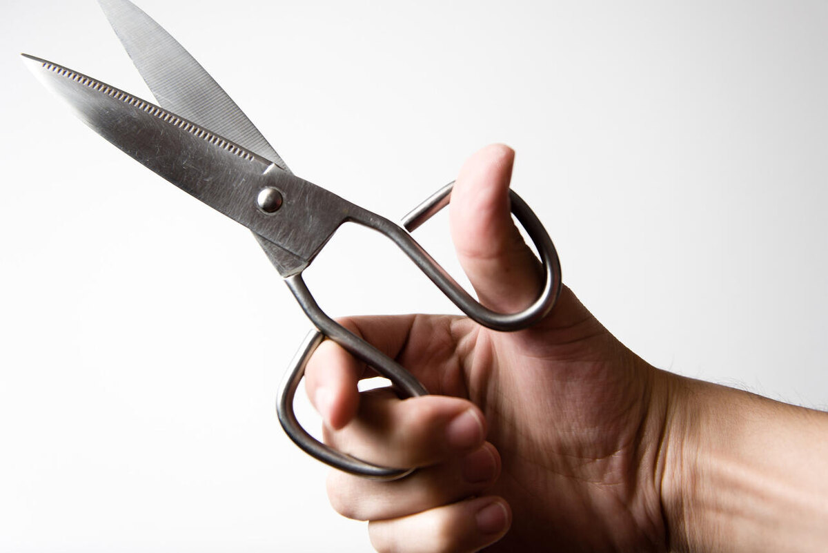    Ножницы 123RF/legion-media.ru