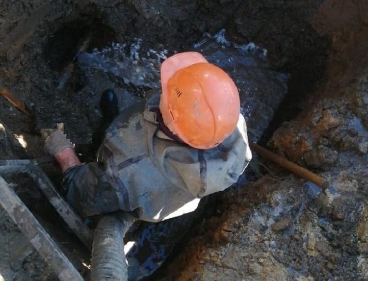    Фото: guproursv.ru Валерия Стальная