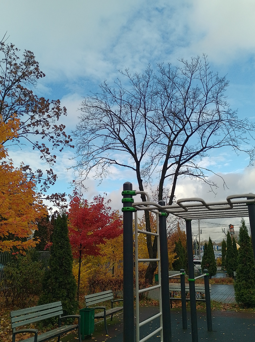 Фото автора.