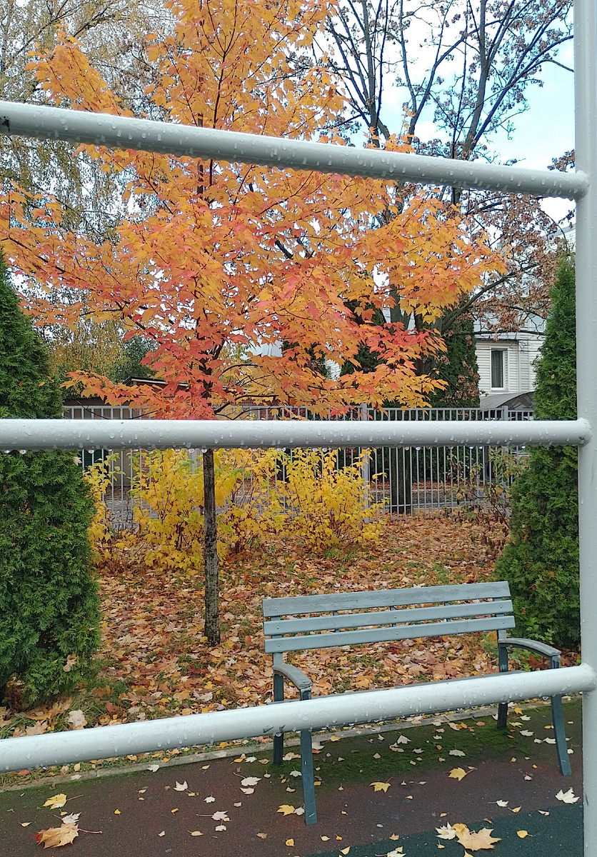 Фото автора.