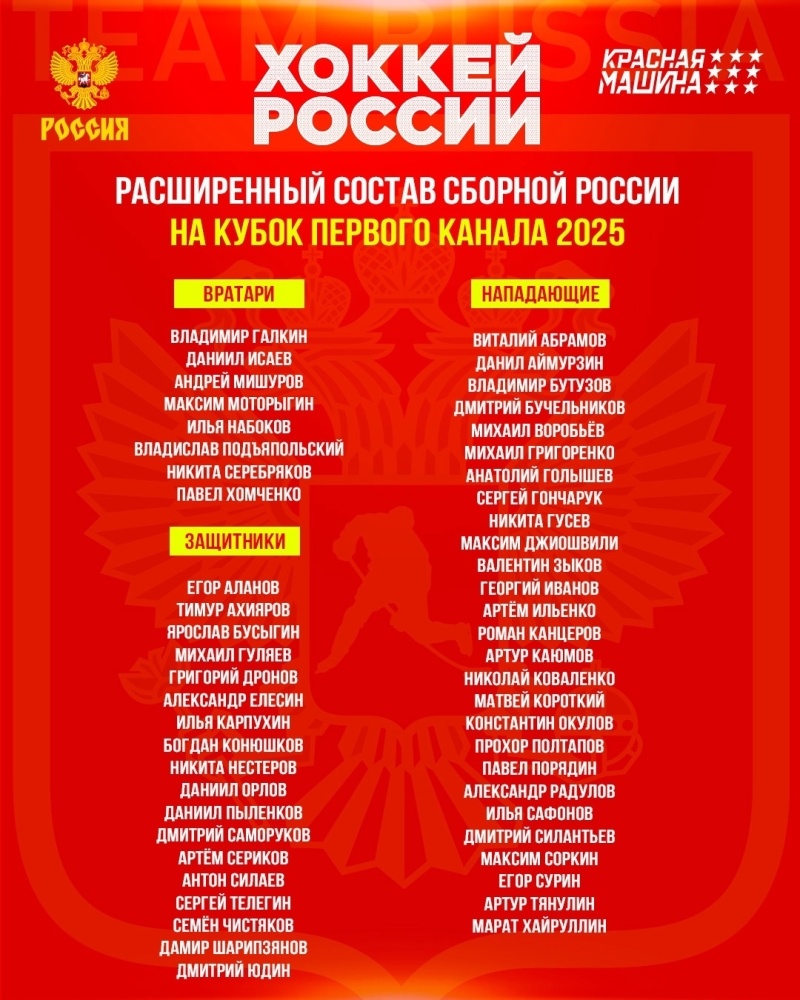    Фото: Хоккей России/ВК