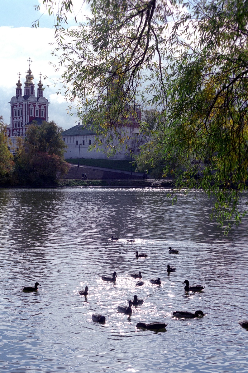 фото:Boris Kavashkin/Global Look Press