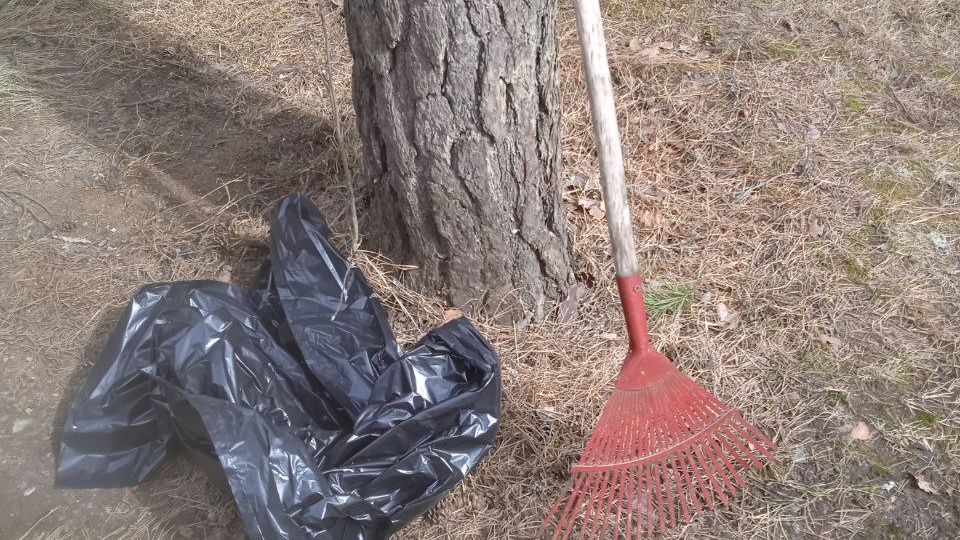 Кто будет убирать придомовую территорию многоквартирного дома? С кого спрашивать?