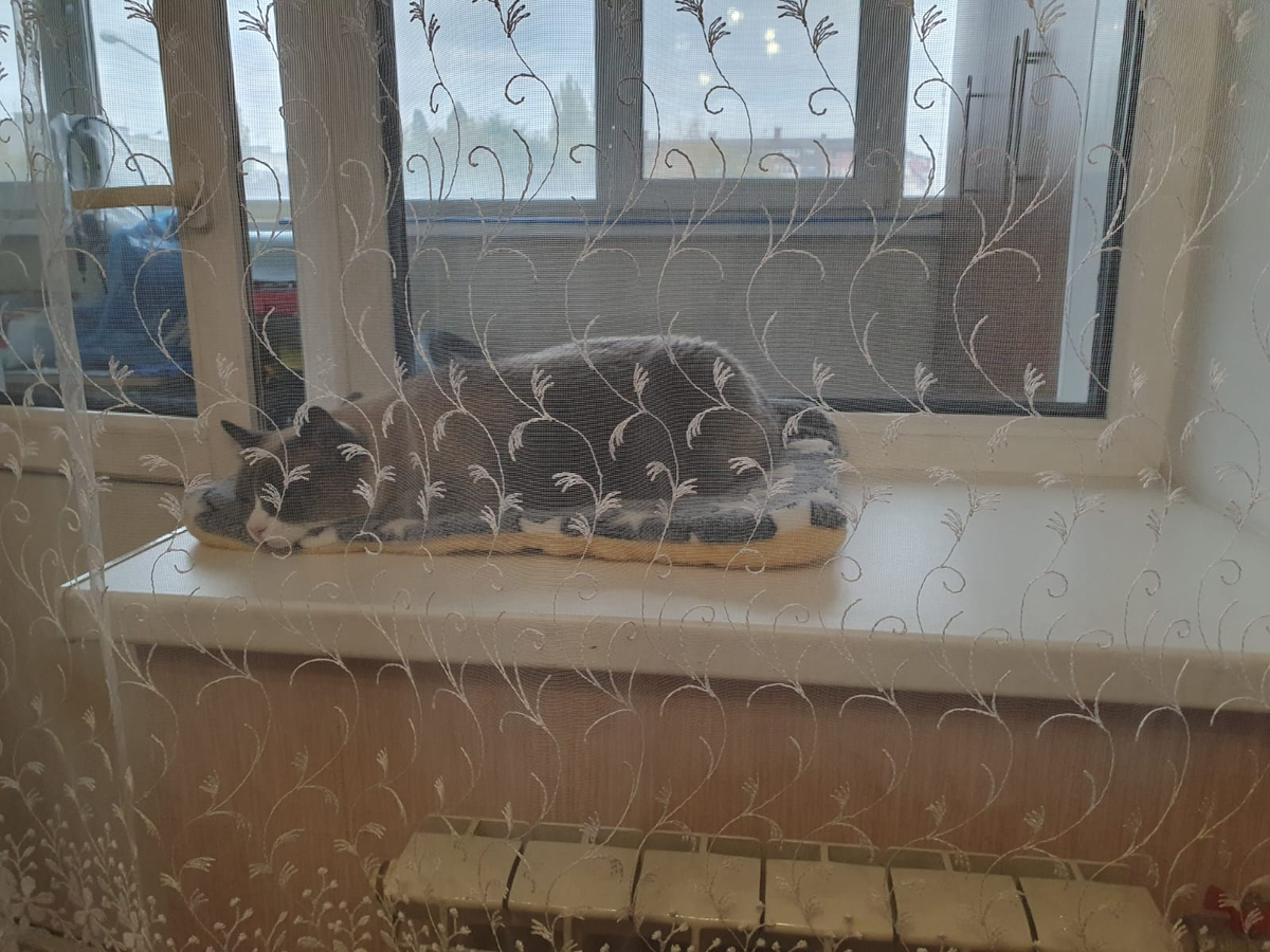 Поели, можно и поспать.