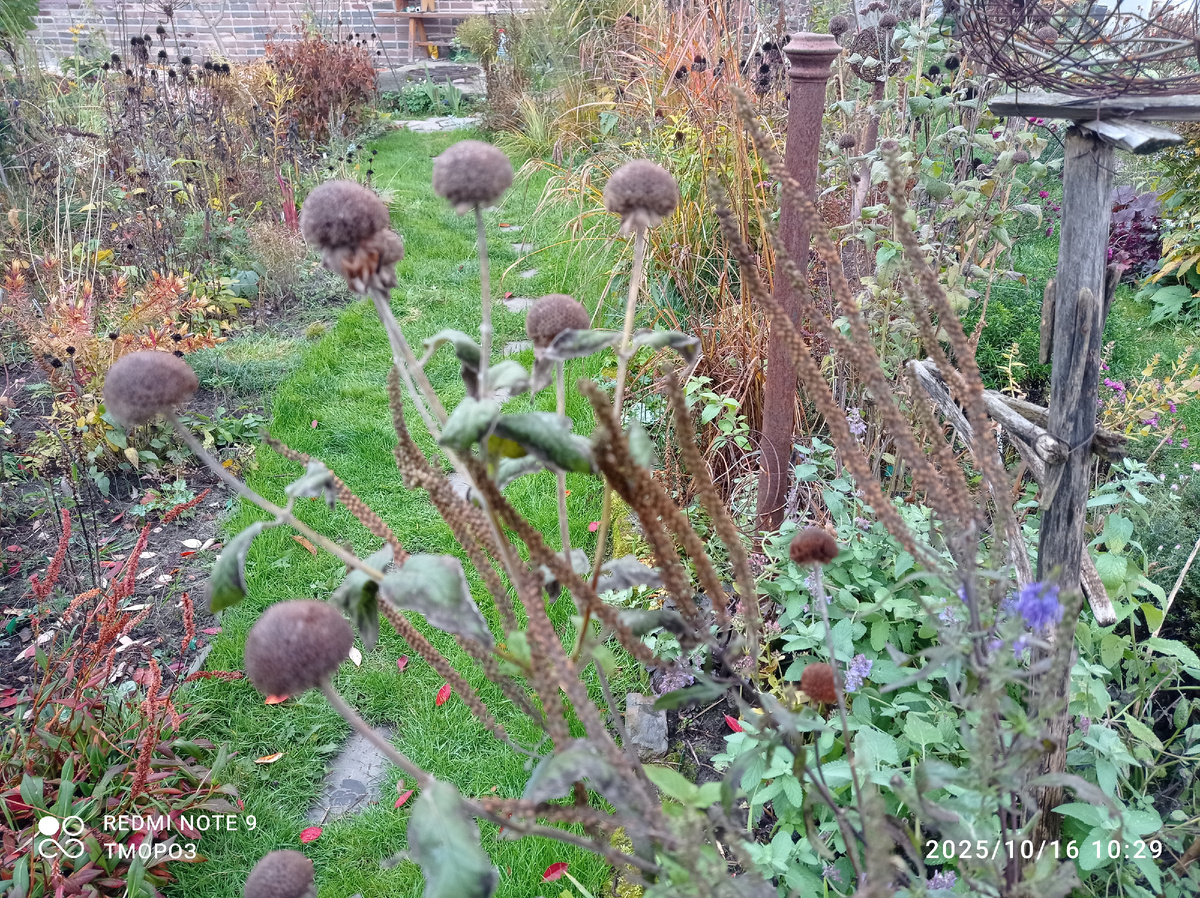 покрасовались и хватит