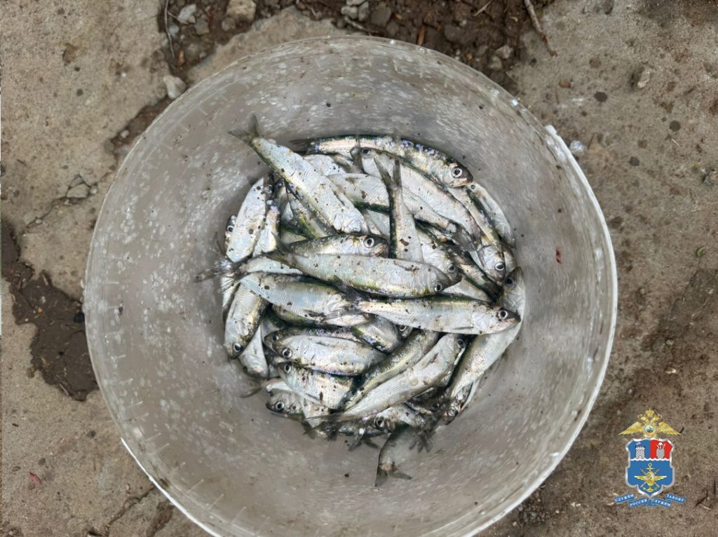    Фото пресс-службы УТ МВД России по СКФО Газета Колос