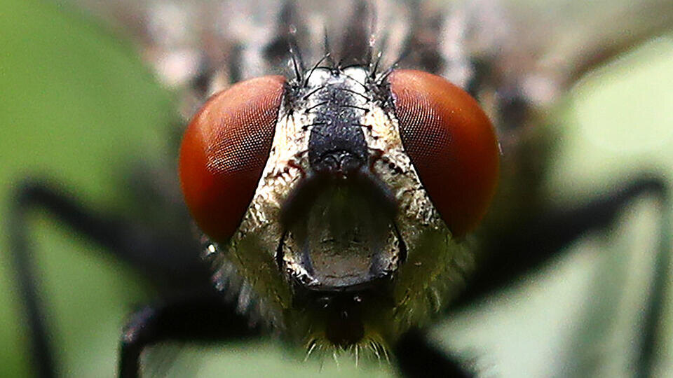 Фото: © Валерий Шарифулин/ТАСС 