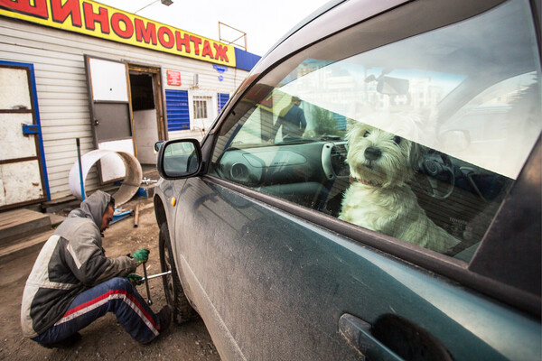 Дмитрий Феоктистов/ТАСС 