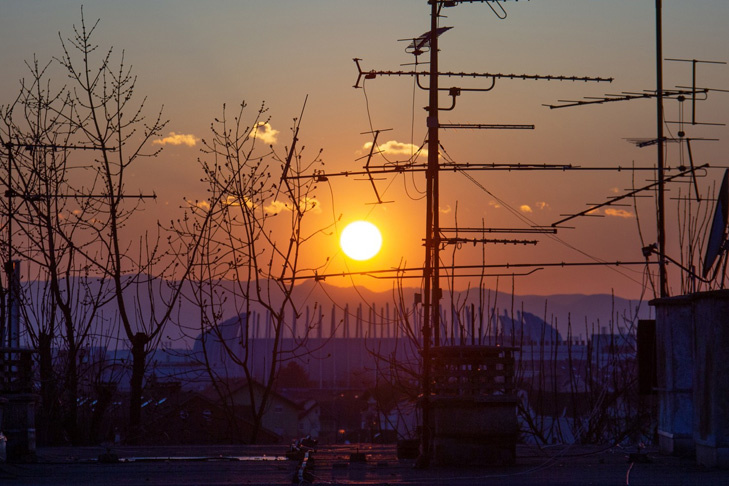    Фото freepik.com