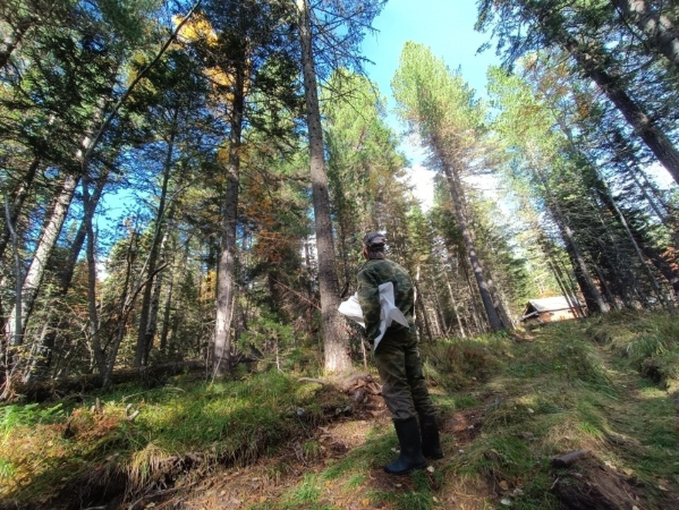 Тело девушки нашли с лесополосе под Ростовом. Фото: Наталья Варсегова. 
