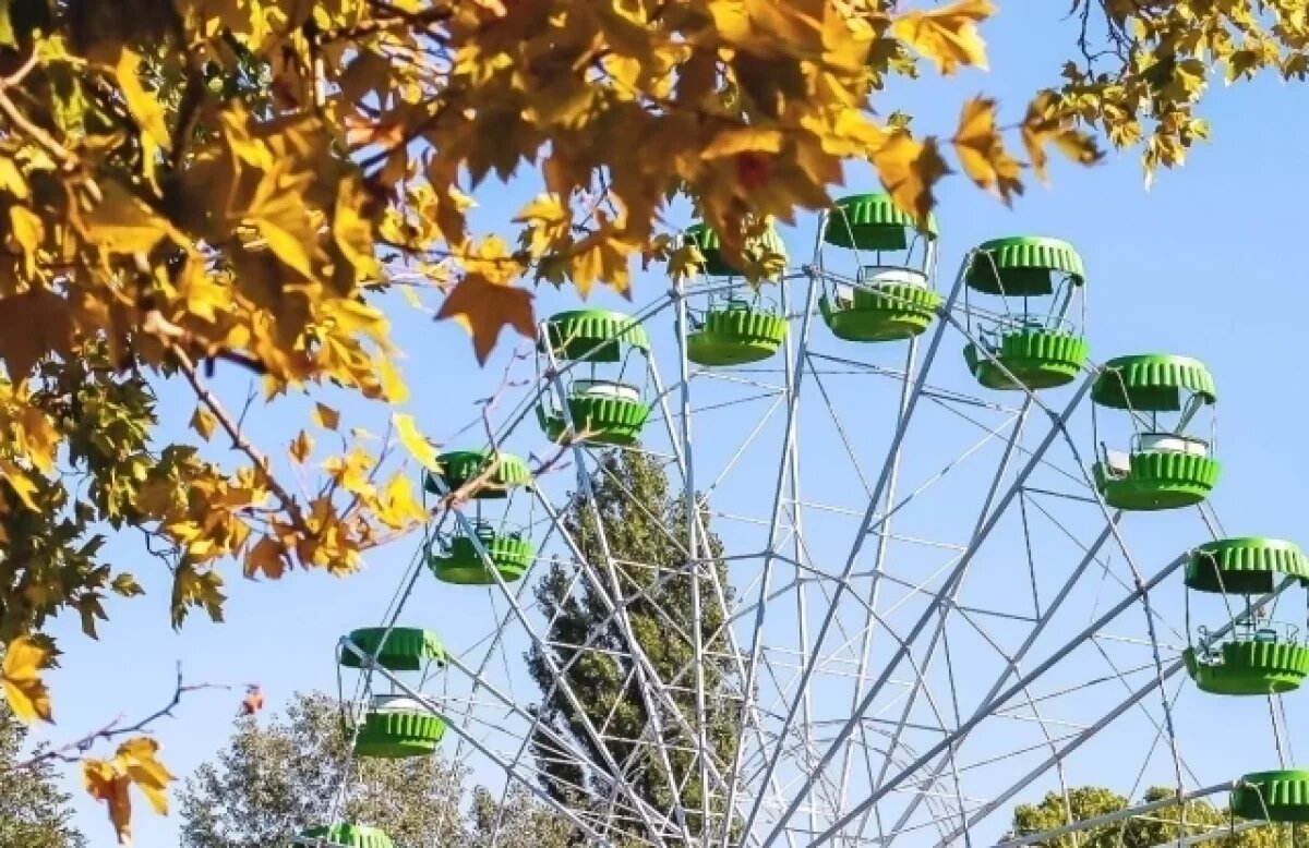    В Симферополе продолжают борьбу с вандализмом в парках
