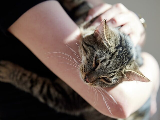    Фото: портал мэра и правительства Москвы/Максим Денисов