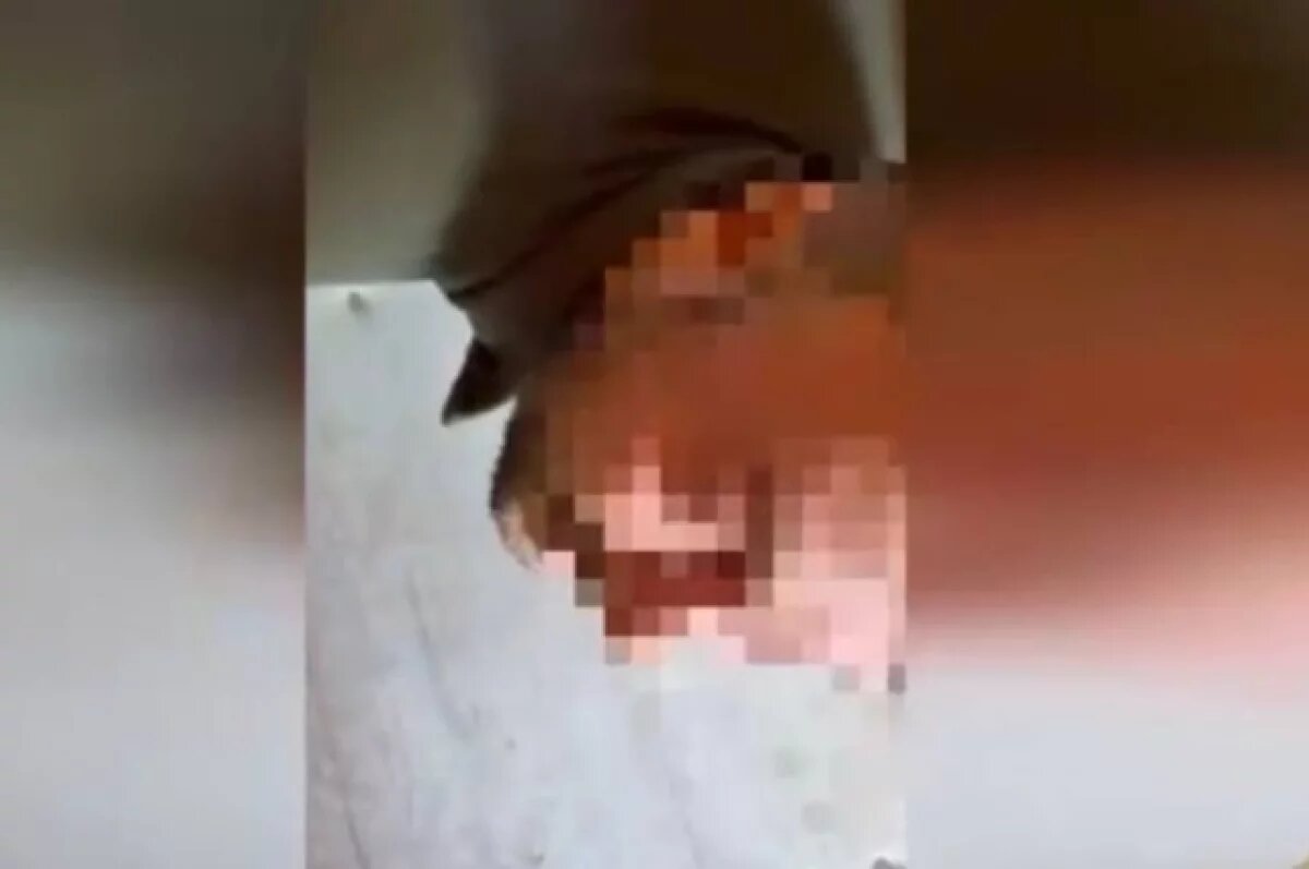    В Удмуртии дистрибьютор косметики провернул аферу на 5 млн рублей