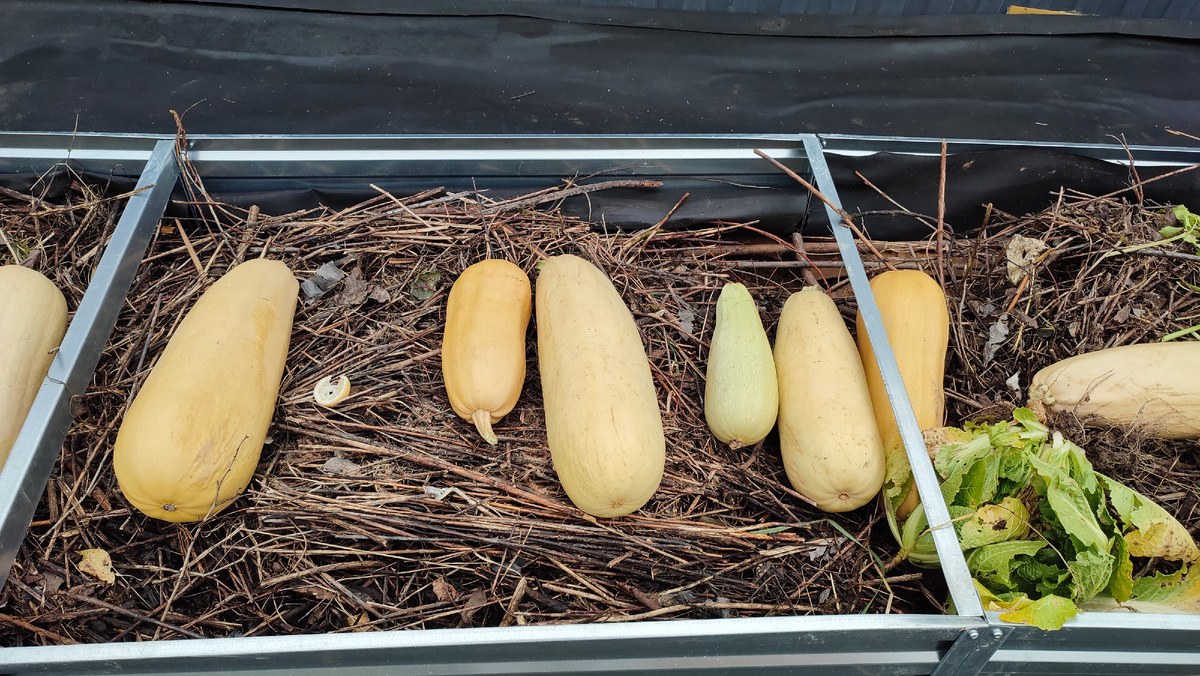 Пойдут на удобрение