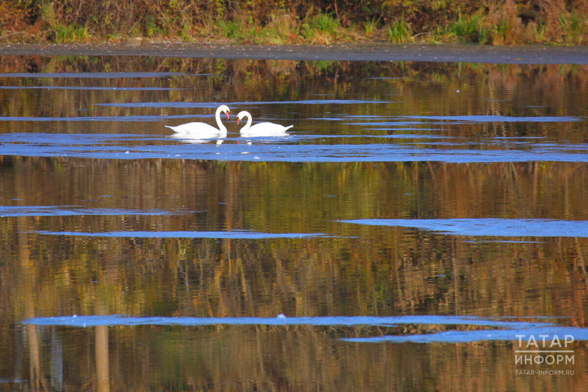 Теплое начало осени и волны бабьего лета в последние годы стали привычными для татарстанцевФото: © Султан Исхаков / «Татар-информ»