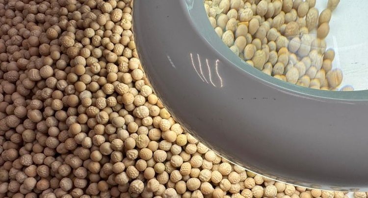    Фото: ФГБУ ЦОК АПК