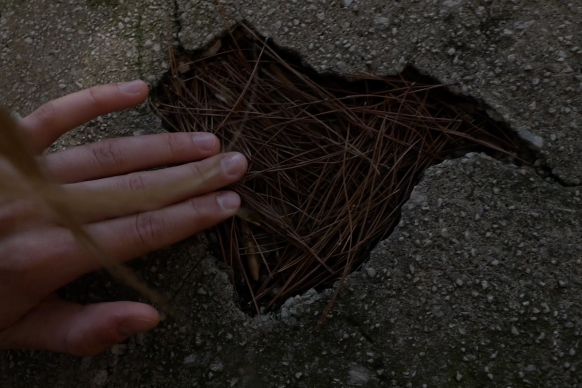    В ноябре состоится кинофестиваль Beat Weekend (фото 2)