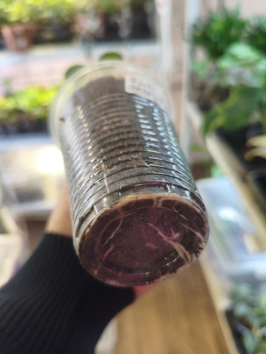 Листайте галерею вправо